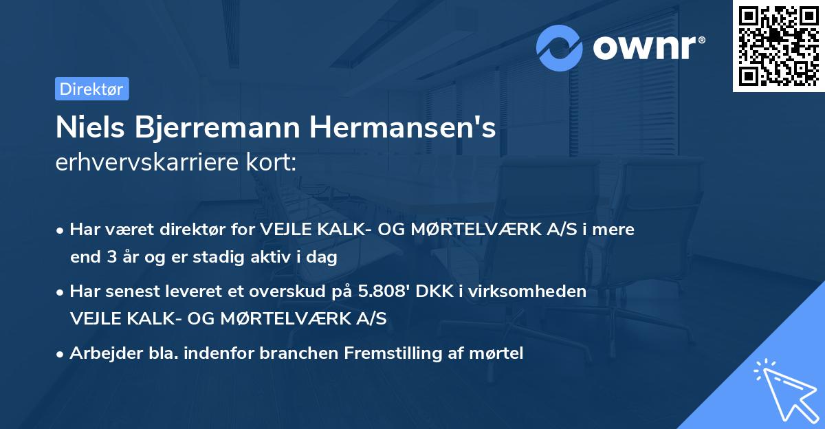 Niels Bjerremann Hermansen's erhvervskarriere kort