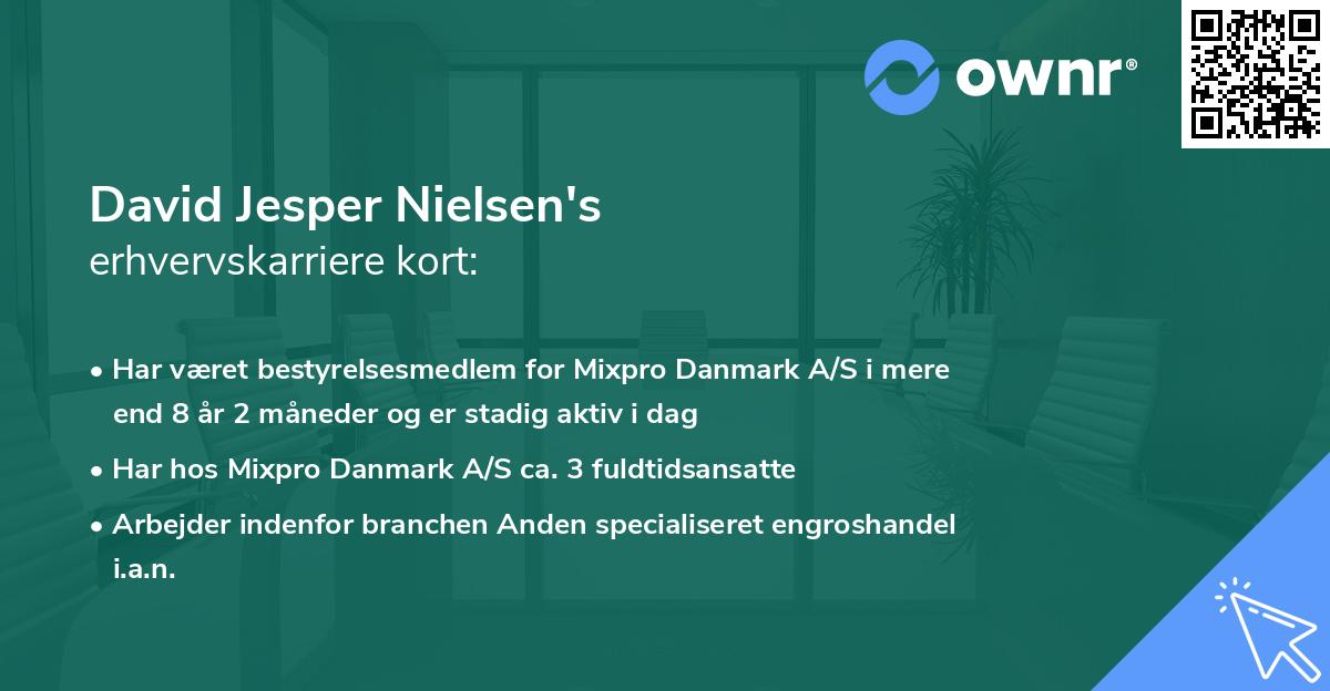 David Jesper Nielsen's erhvervskarriere kort