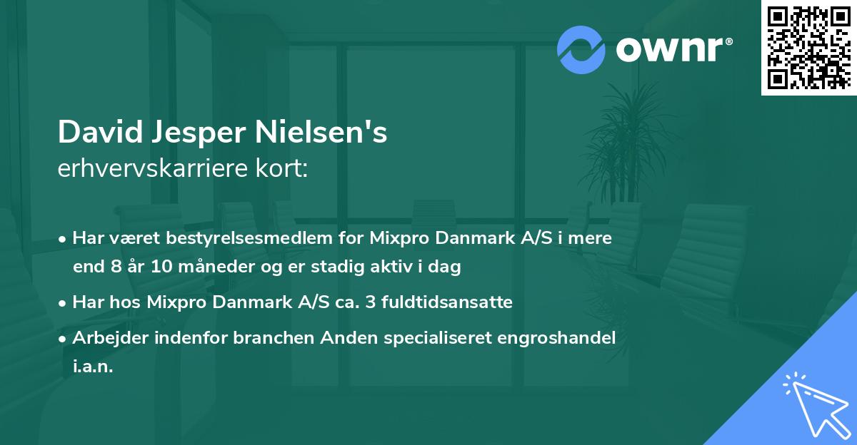 David Jesper Nielsen's erhvervskarriere kort