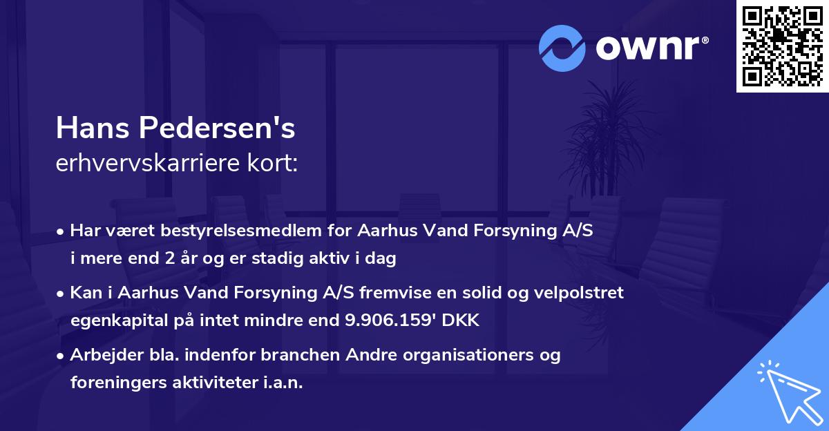 Hans Pedersen's erhvervskarriere kort