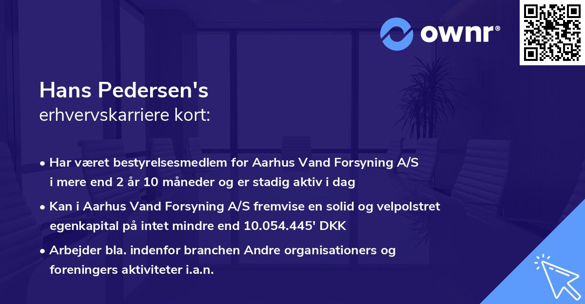 Hans Pedersen's erhvervskarriere kort