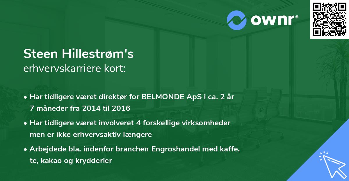 Steen Hillestrøm's erhvervskarriere kort