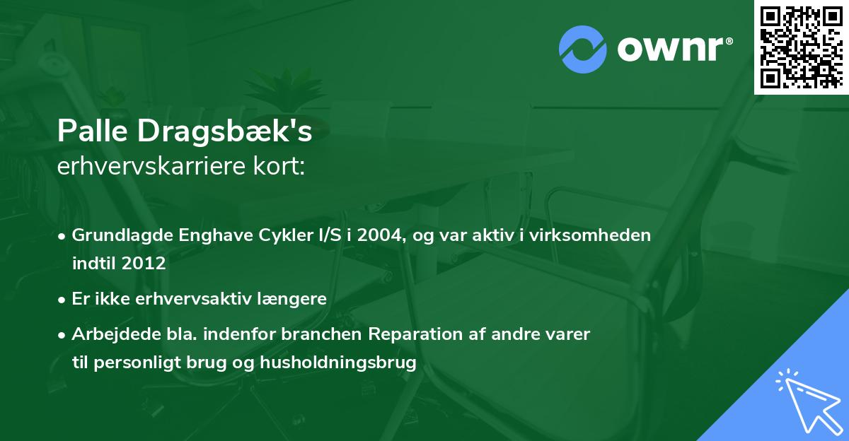 Palle Dragsbæk's erhvervskarriere kort