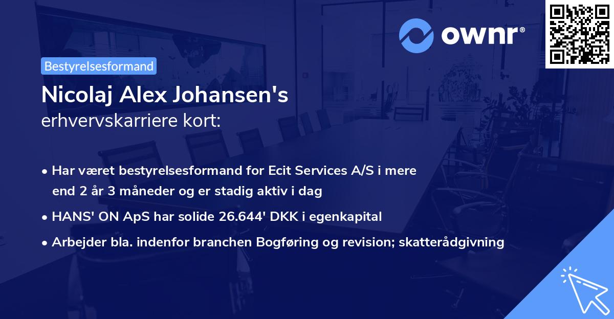 Nicolaj Alex Johansen's erhvervskarriere kort