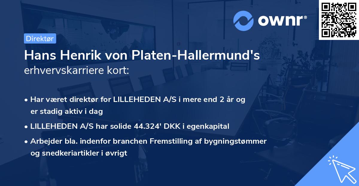 Hans Henrik von Platen-Hallermund's erhvervskarriere kort