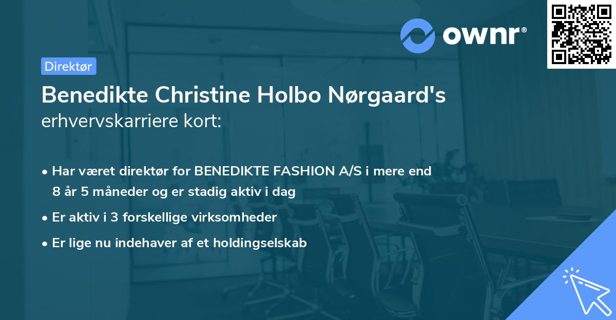 Benedikte Christine Holbo Nørgaard's erhvervskarriere kort