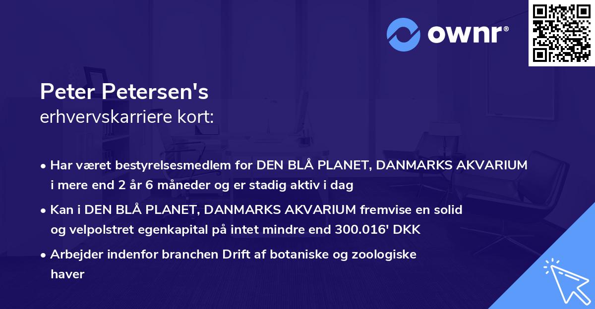 Peter Petersen's erhvervskarriere kort