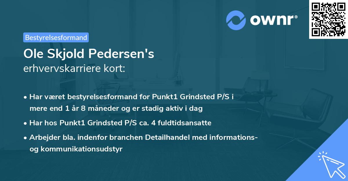 Ole Skjold Pedersen's erhvervskarriere kort