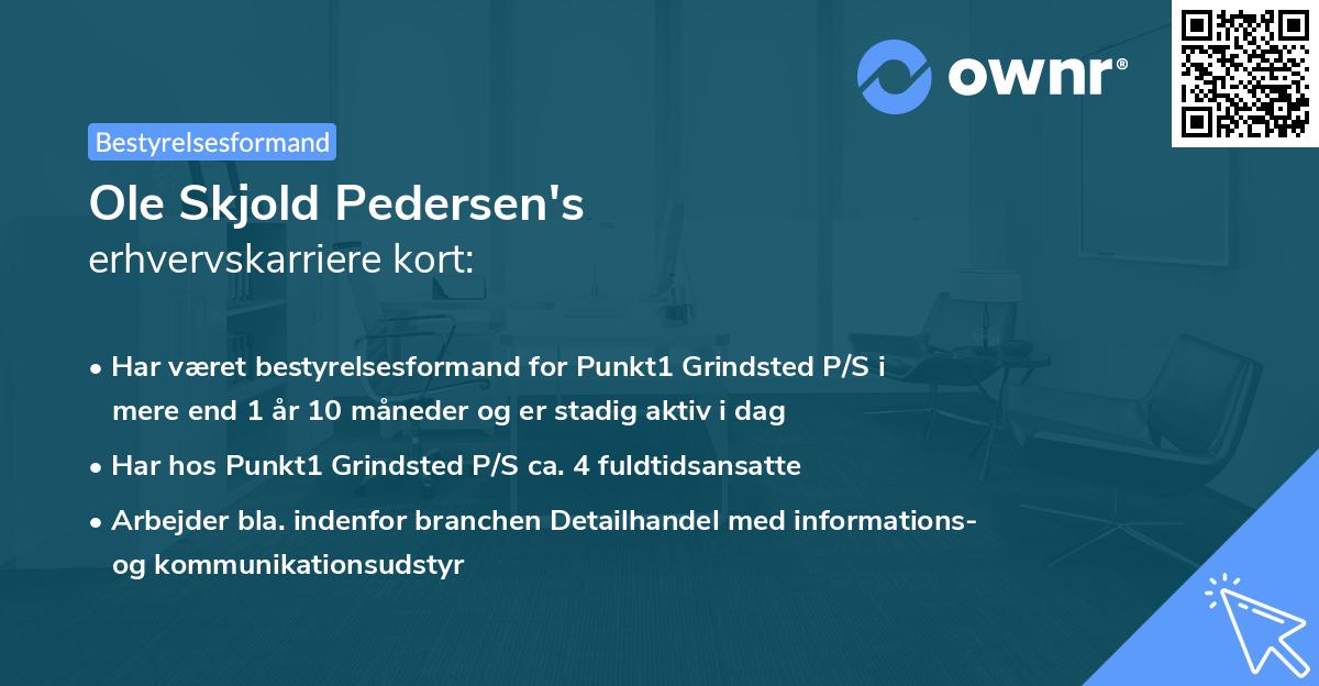 Ole Skjold Pedersen's erhvervskarriere kort