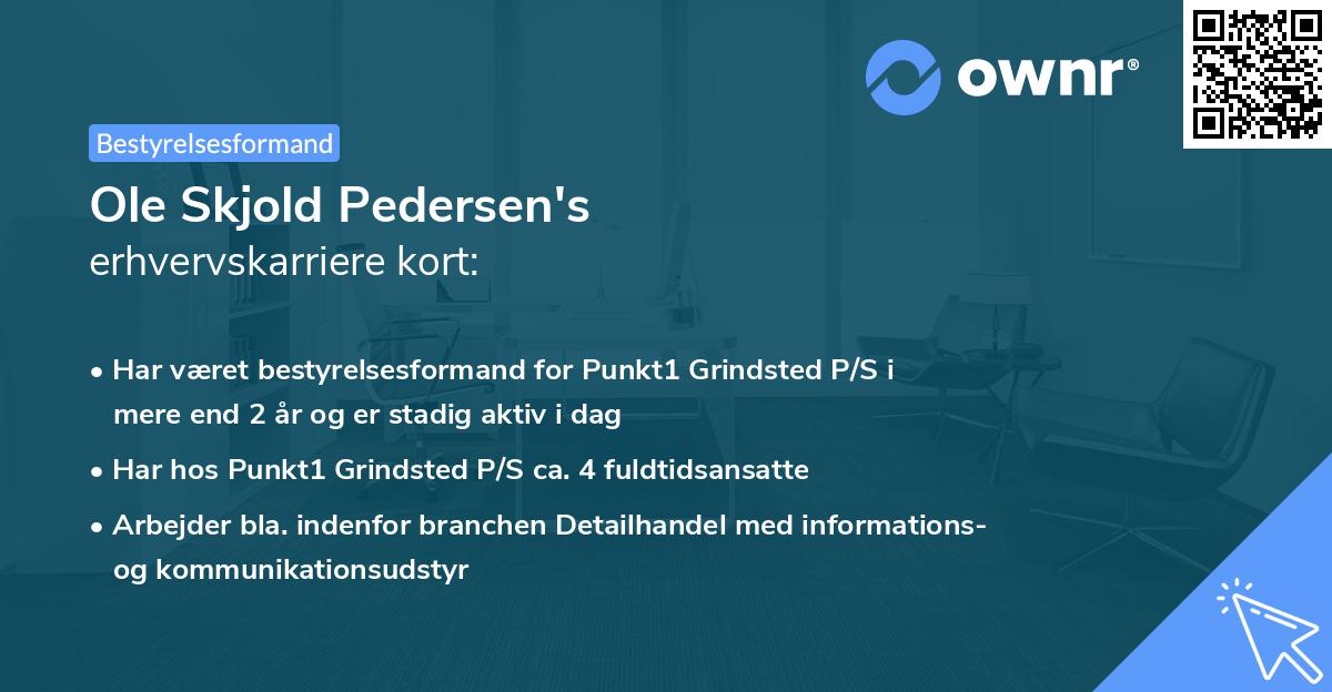 Ole Skjold Pedersen's erhvervskarriere kort