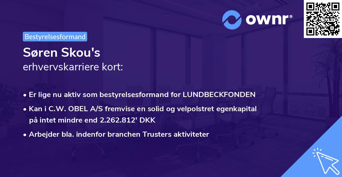 Søren Skou's erhvervskarriere kort