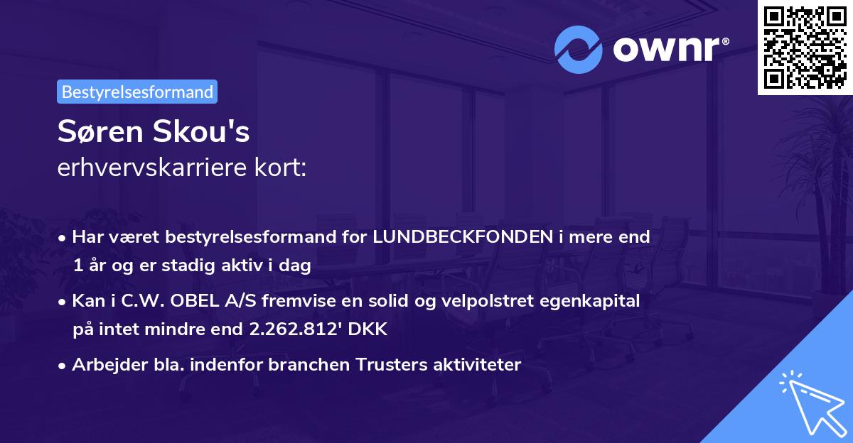 Søren Skou's erhvervskarriere kort