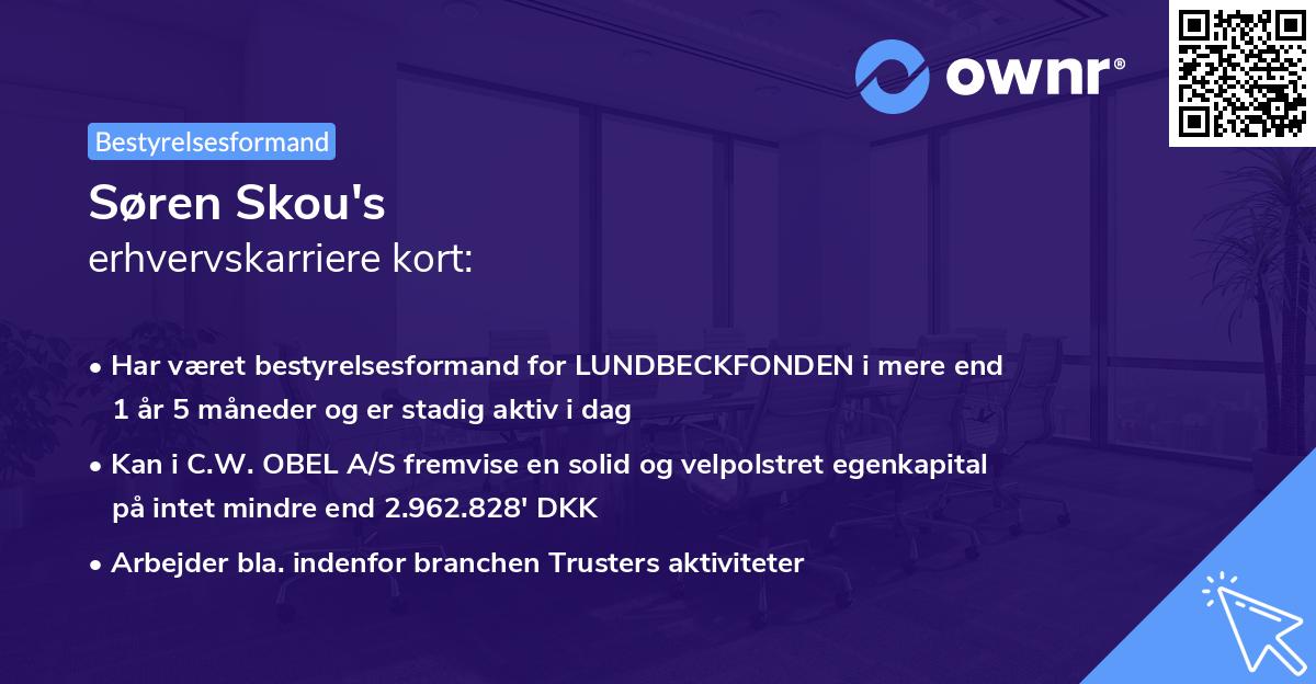 Søren Skou's erhvervskarriere kort