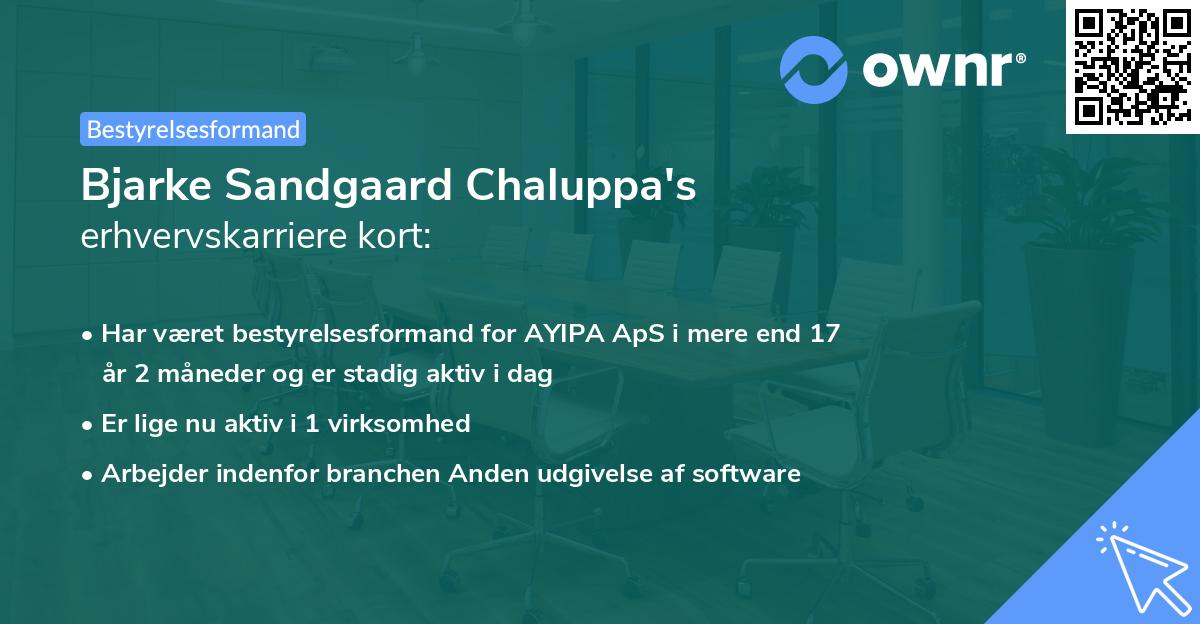 Bjarke Sandgaard Chaluppa's erhvervskarriere kort