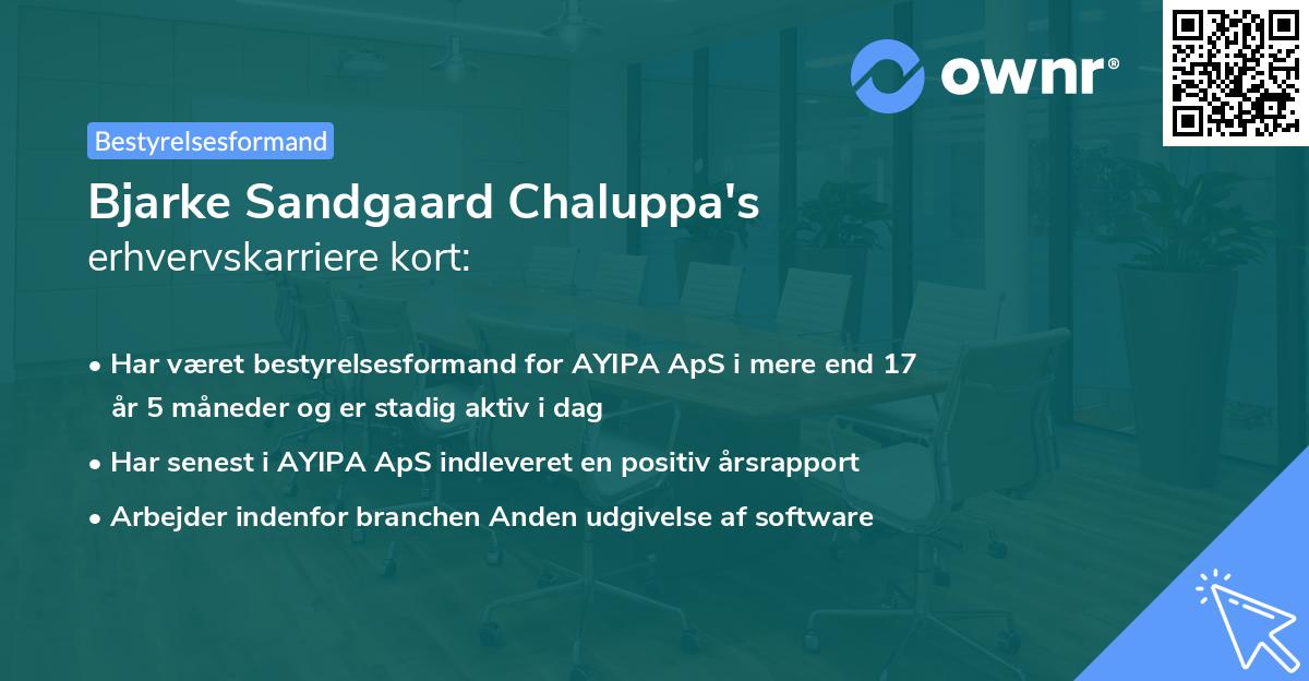 Bjarke Sandgaard Chaluppa's erhvervskarriere kort