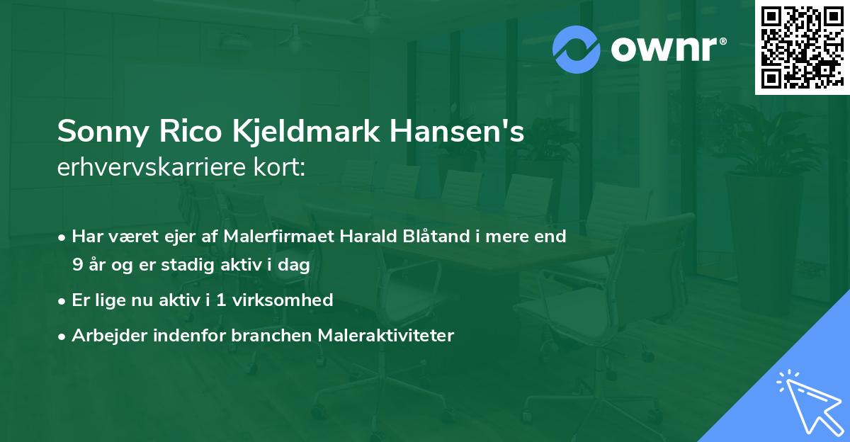 Sonny Rico Kjeldmark Hansen's erhvervskarriere kort
