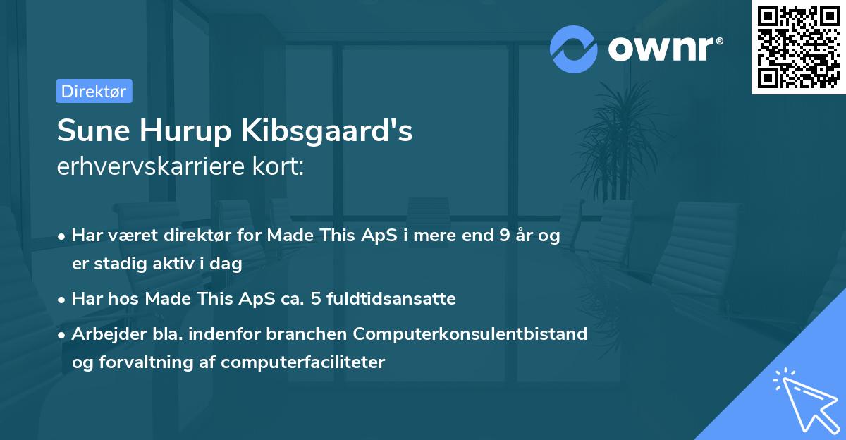 Sune Hurup Kibsgaard's erhvervskarriere kort