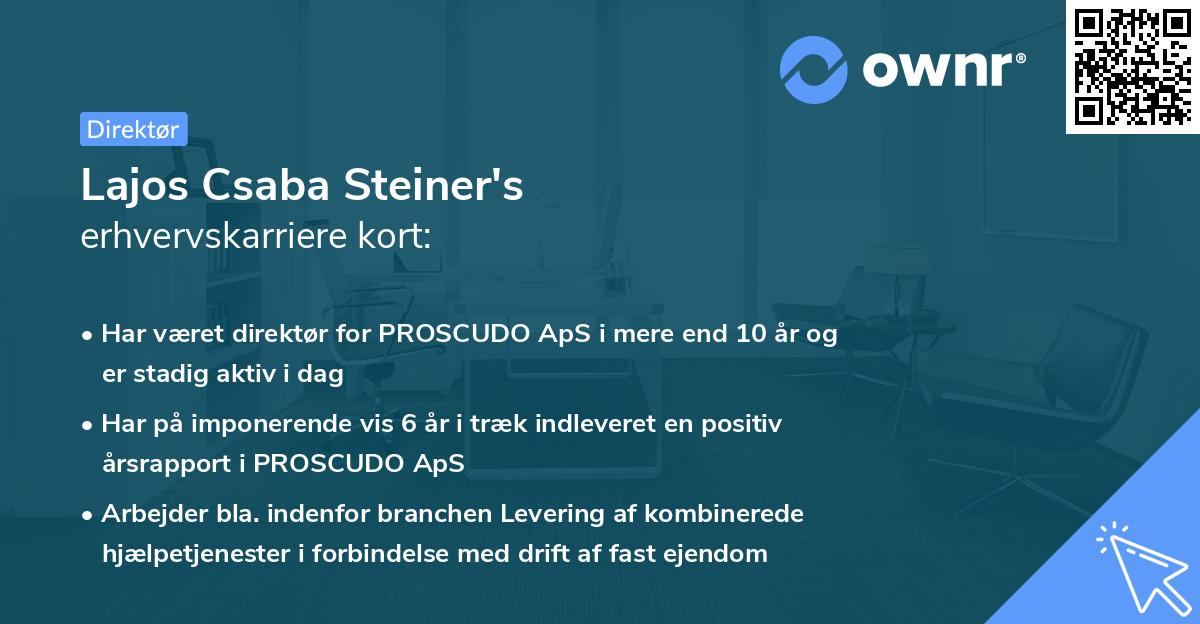 Lajos Csaba Steiner's erhvervskarriere kort