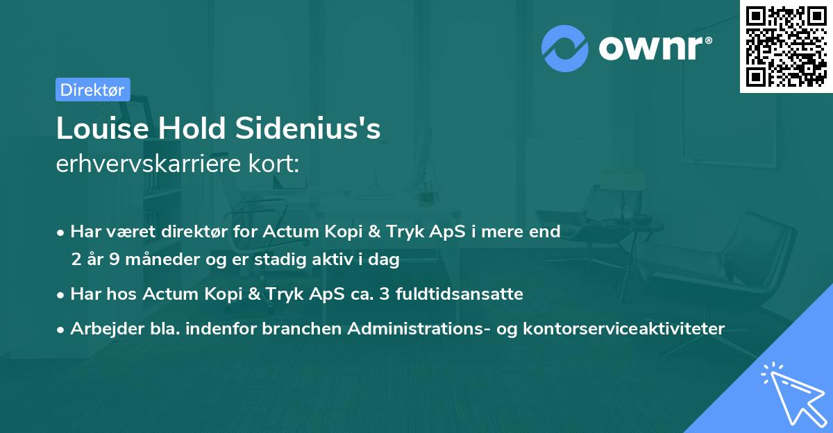Louise Hold Sidenius's erhvervskarriere kort