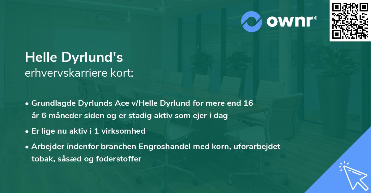 Helle Dyrlund's erhvervskarriere kort