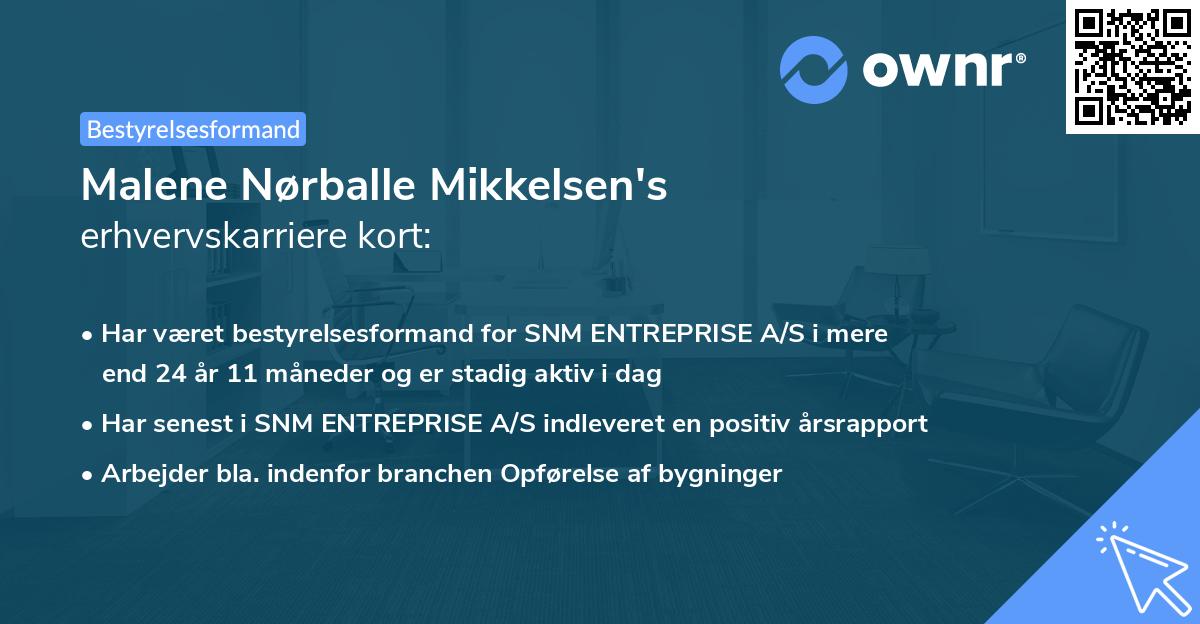 Malene Nørballe Mikkelsen's erhvervskarriere kort