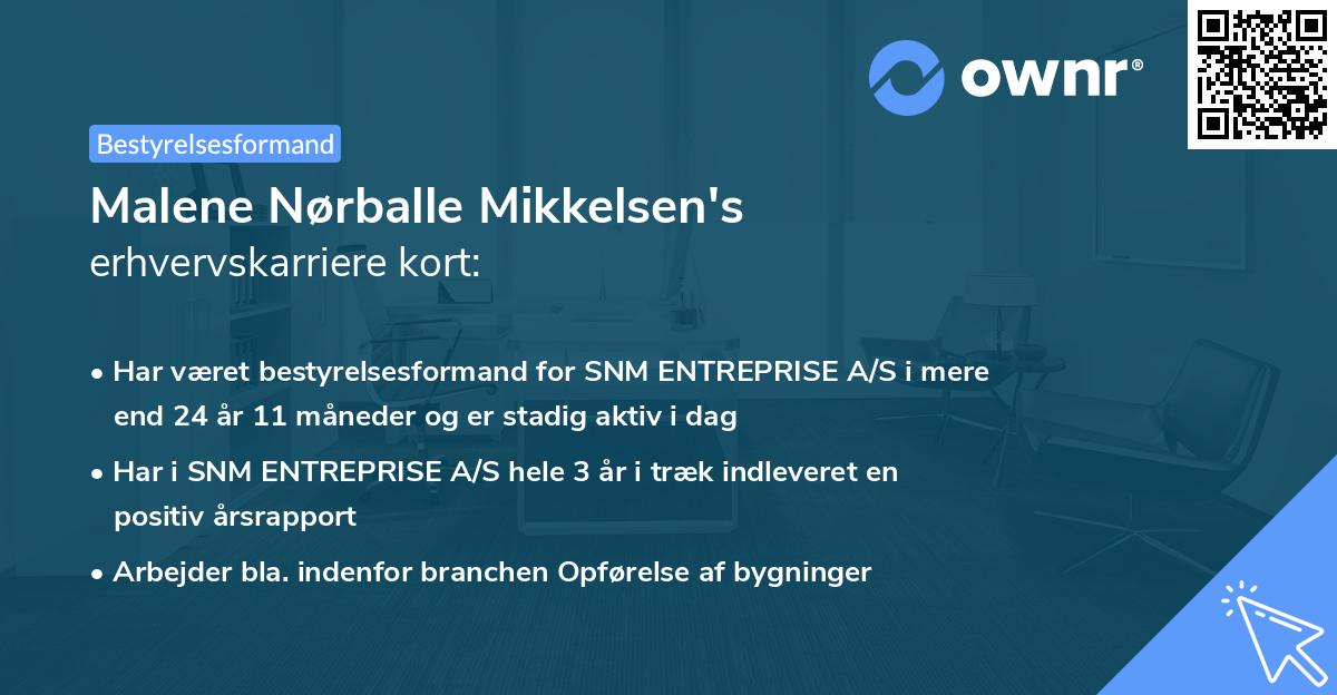 Malene Nørballe Mikkelsen's erhvervskarriere kort