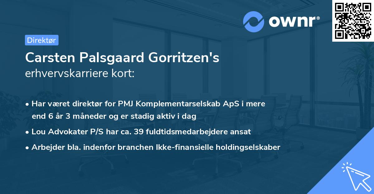 Carsten Palsgaard Gorritzen's erhvervskarriere kort