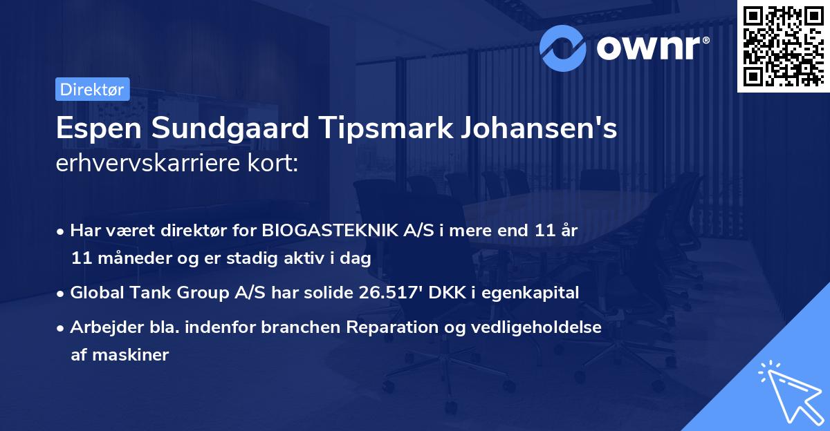 Espen Sundgaard Tipsmark Johansen's erhvervskarriere kort