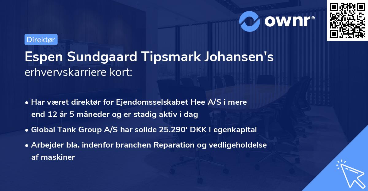 Espen Sundgaard Tipsmark Johansen's erhvervskarriere kort