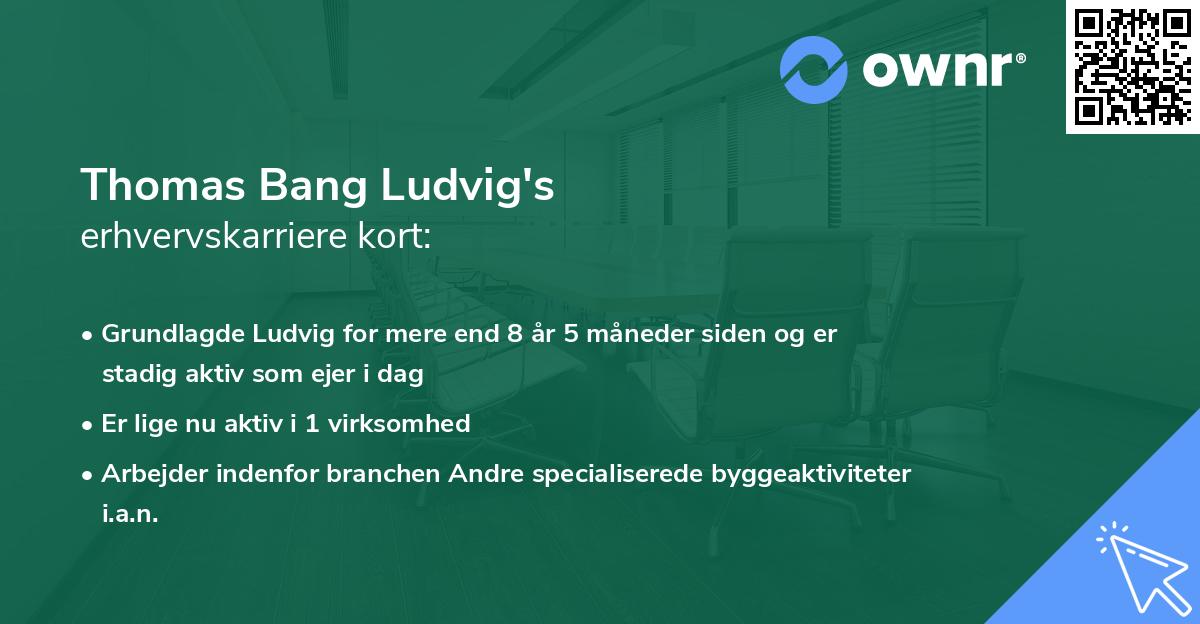 Thomas Bang Ludvig's erhvervskarriere kort
