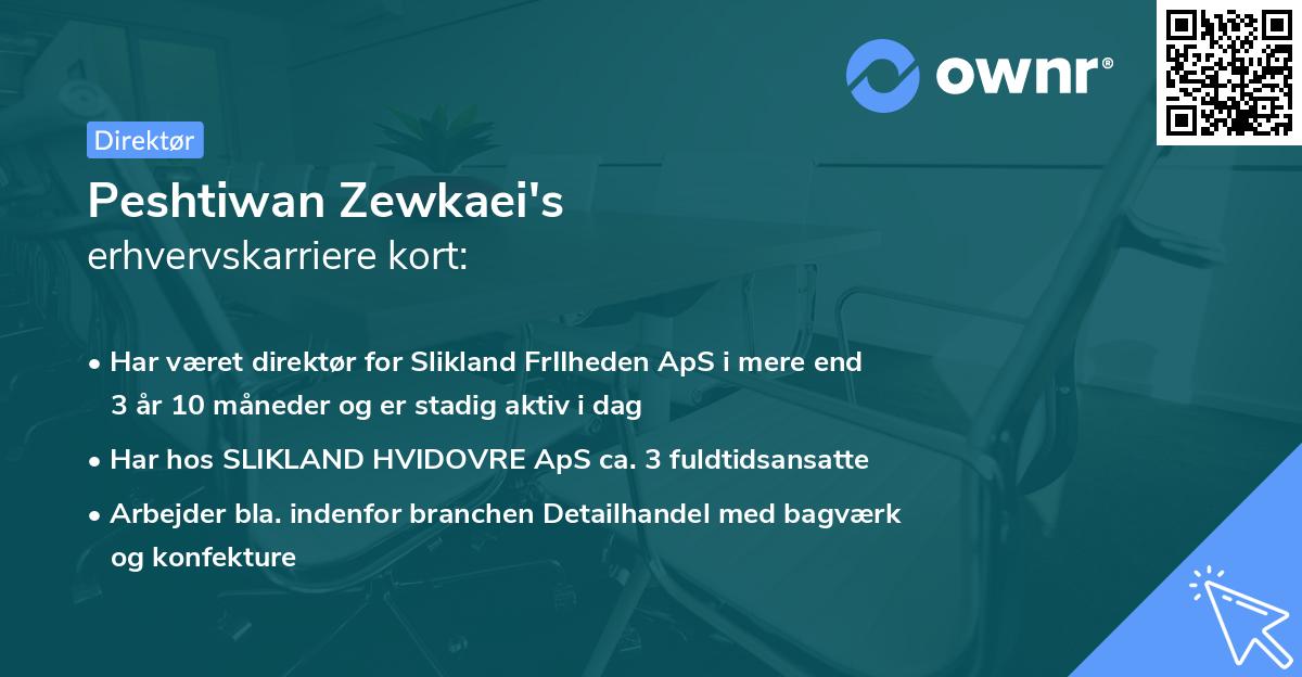 Peshtiwan Zewkaei's erhvervskarriere kort