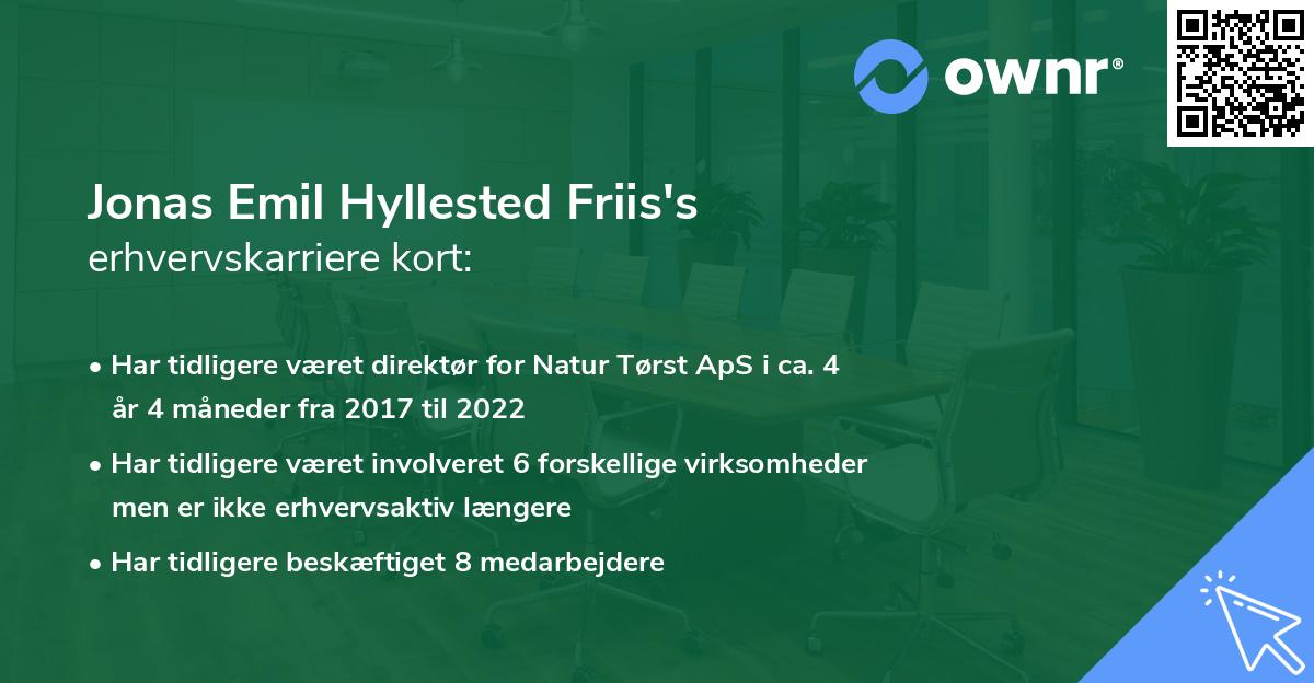Jonas Emil Hyllested Friis's erhvervskarriere kort