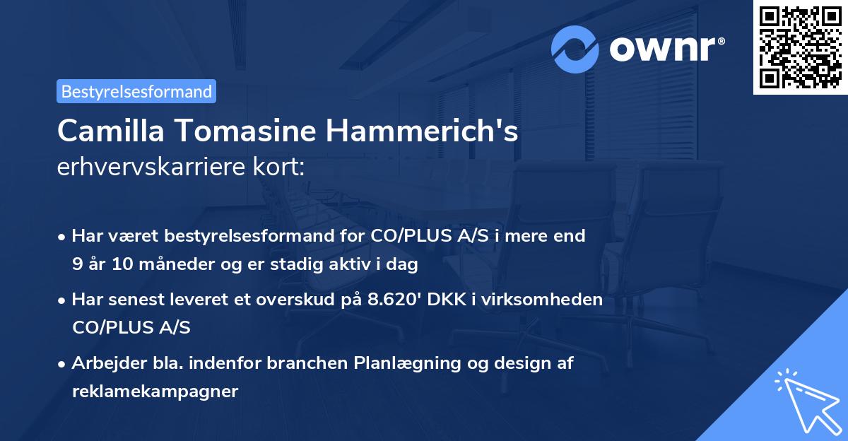Camilla Tomasine Hammerich's erhvervskarriere kort