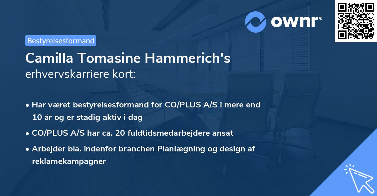 Camilla Tomasine Hammerich's erhvervskarriere kort