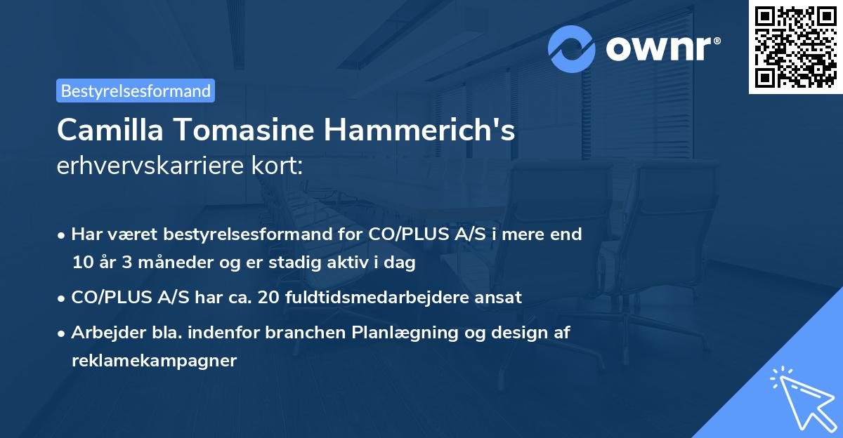 Camilla Tomasine Hammerich's erhvervskarriere kort
