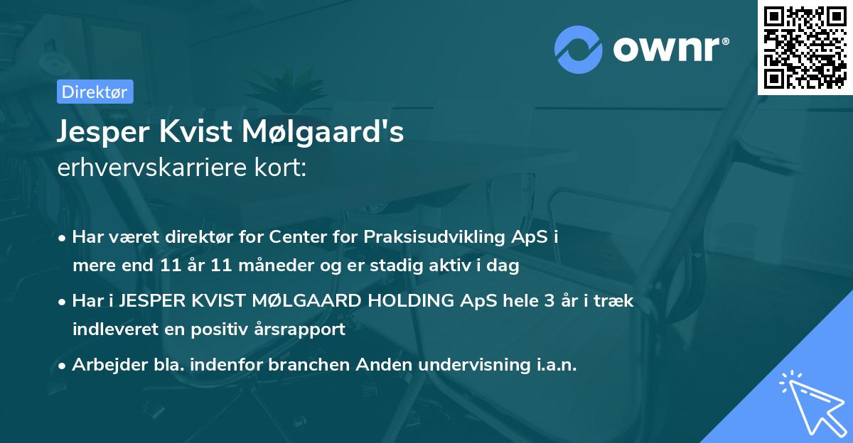 Jesper Kvist Mølgaard's erhvervskarriere kort