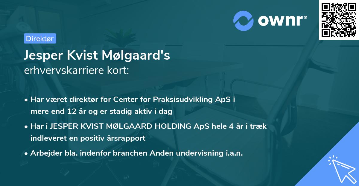 Jesper Kvist Mølgaard's erhvervskarriere kort