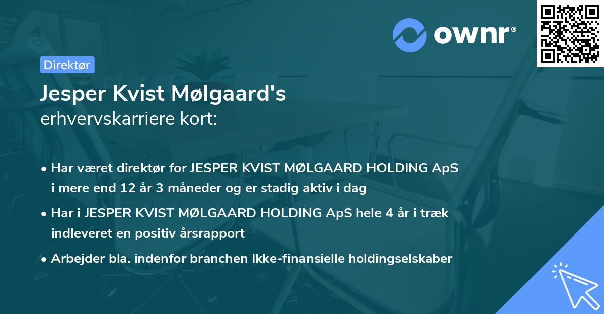 Jesper Kvist Mølgaard's erhvervskarriere kort