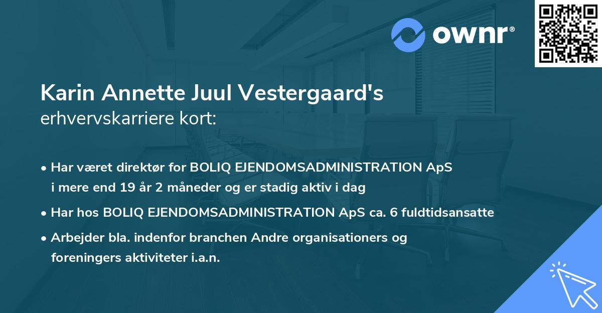Karin Annette Juul Vestergaard's erhvervskarriere kort