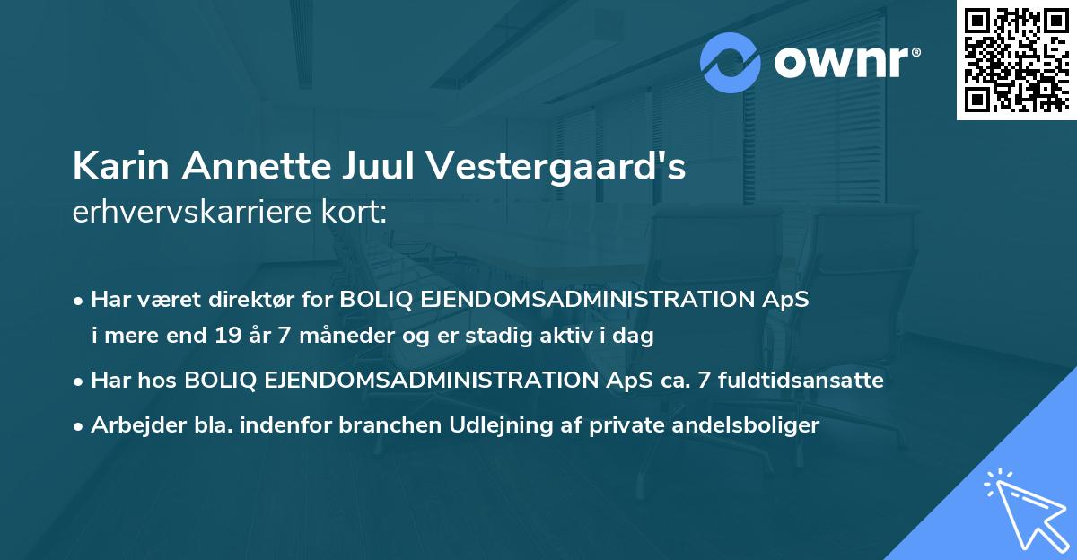 Karin Annette Juul Vestergaard's erhvervskarriere kort