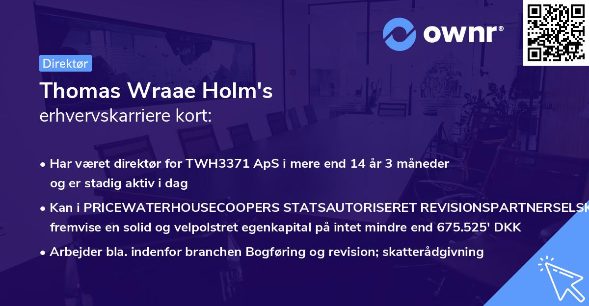 Thomas Wraae Holm's erhvervskarriere kort