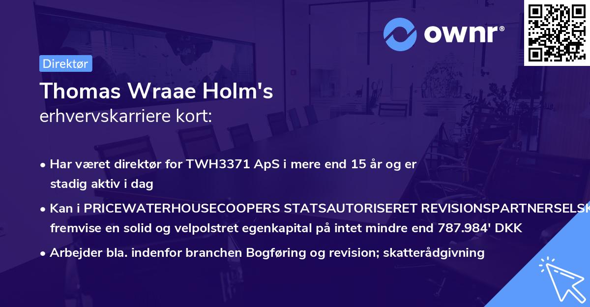 Thomas Wraae Holm's erhvervskarriere kort