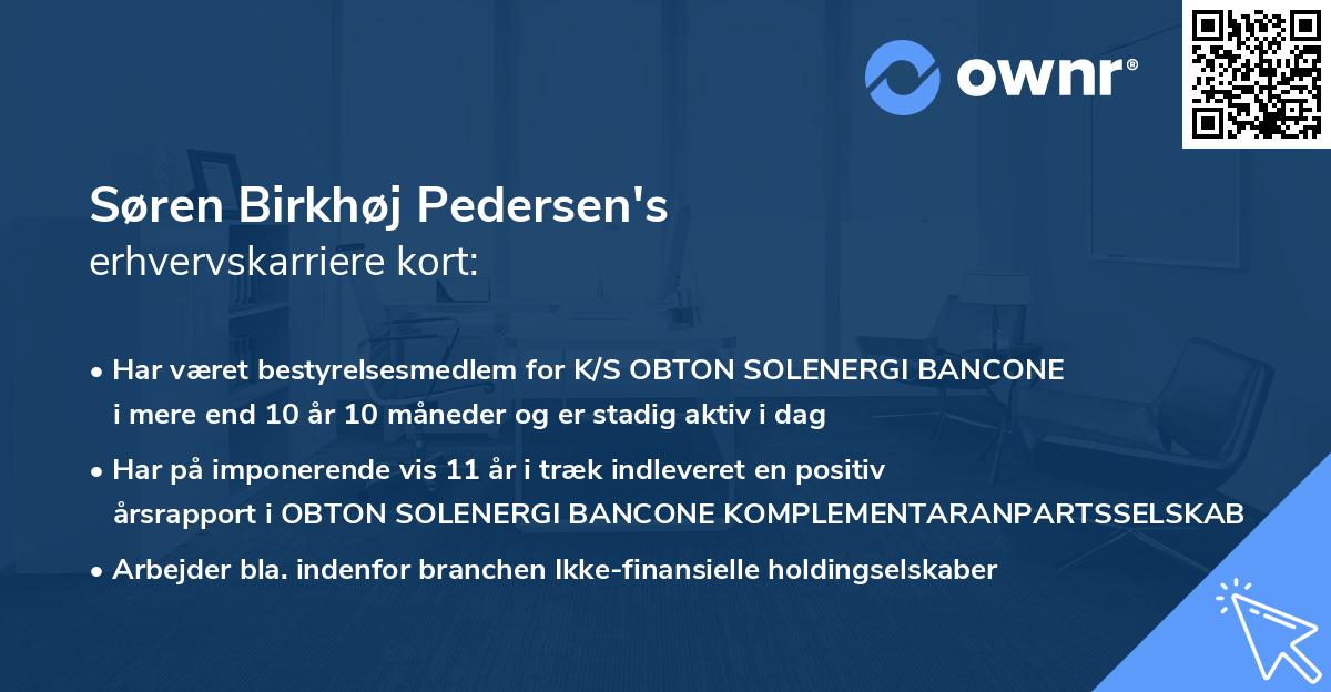 Søren Birkhøj Pedersen's erhvervskarriere kort