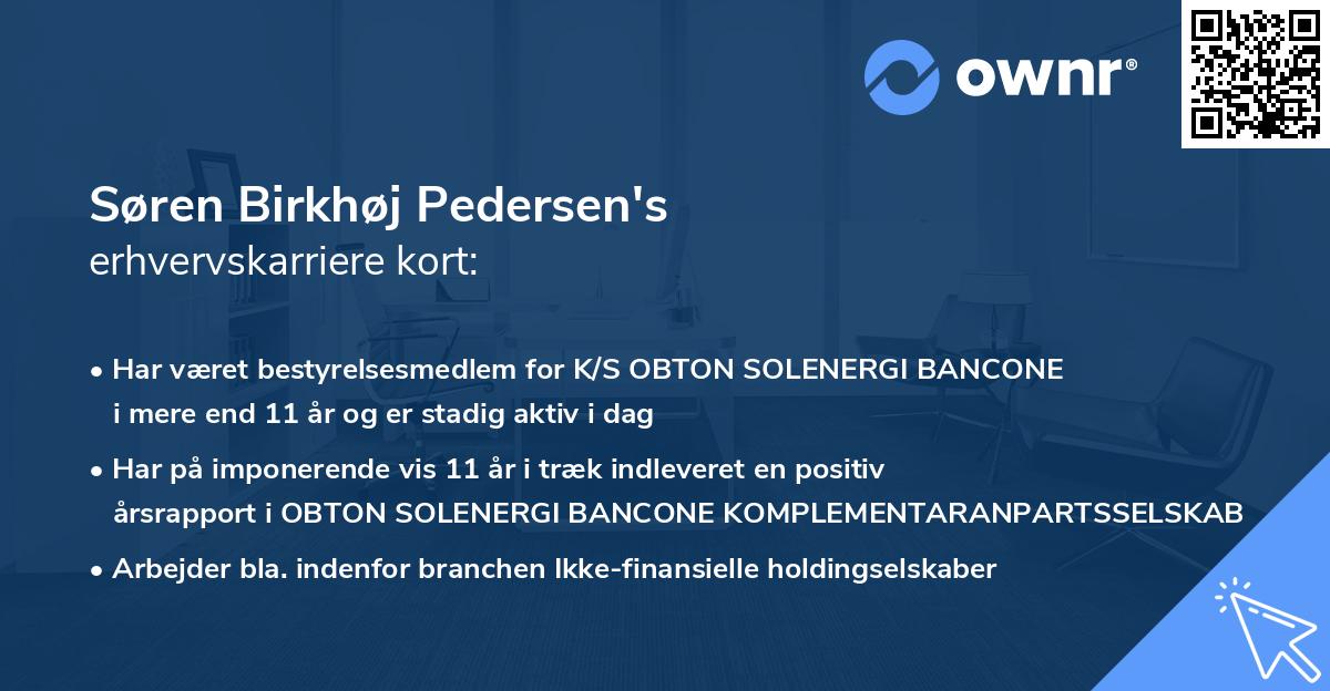 Søren Birkhøj Pedersen's erhvervskarriere kort