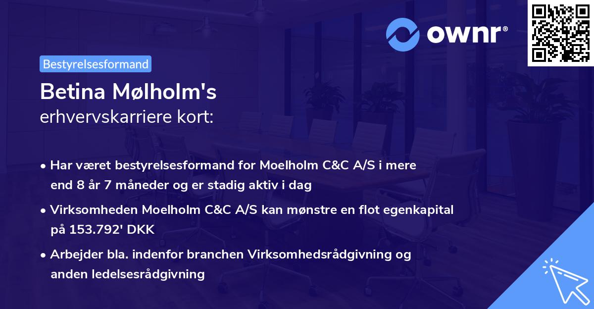 Betina Mølholm's erhvervskarriere kort