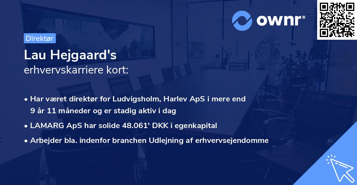 Lau Hejgaard's erhvervskarriere kort