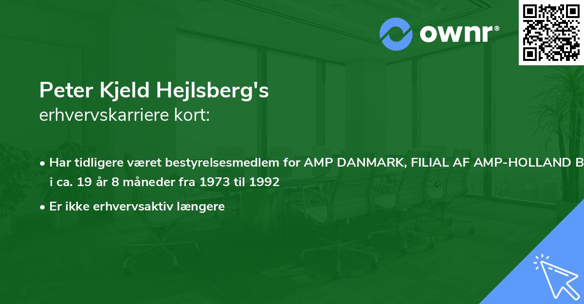 Peter Kjeld Hejlsberg's erhvervskarriere kort