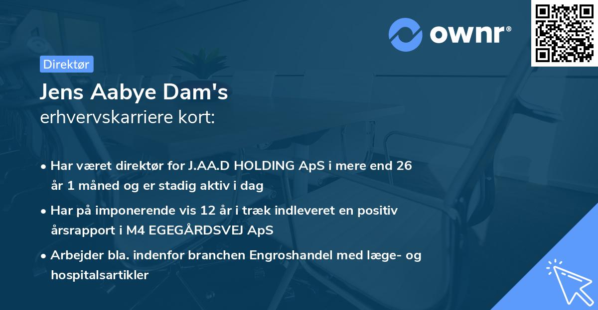 Jens Aabye Dam's erhvervskarriere kort