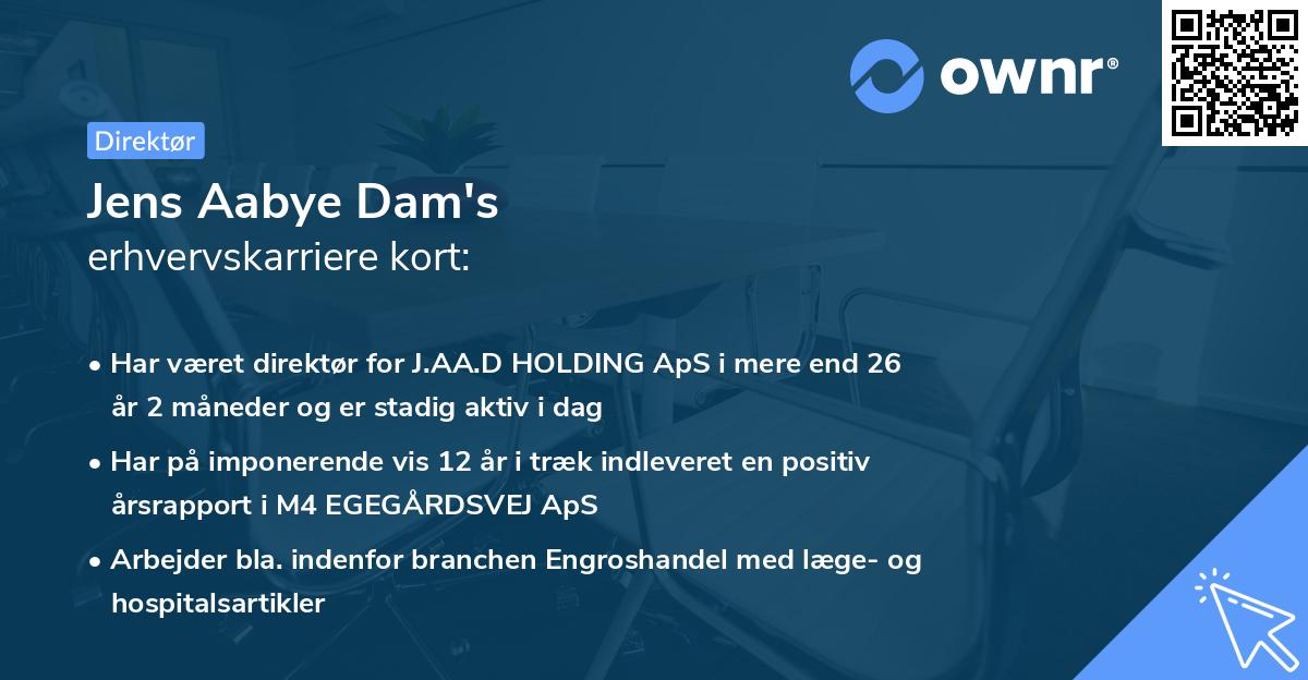 Jens Aabye Dam's erhvervskarriere kort