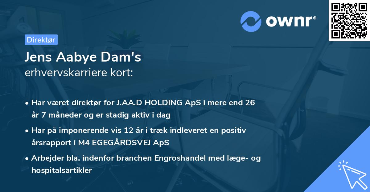 Jens Aabye Dam's erhvervskarriere kort